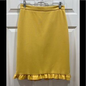 Ann Taylor Beautiful Ruffle Trim Skirt Size 2